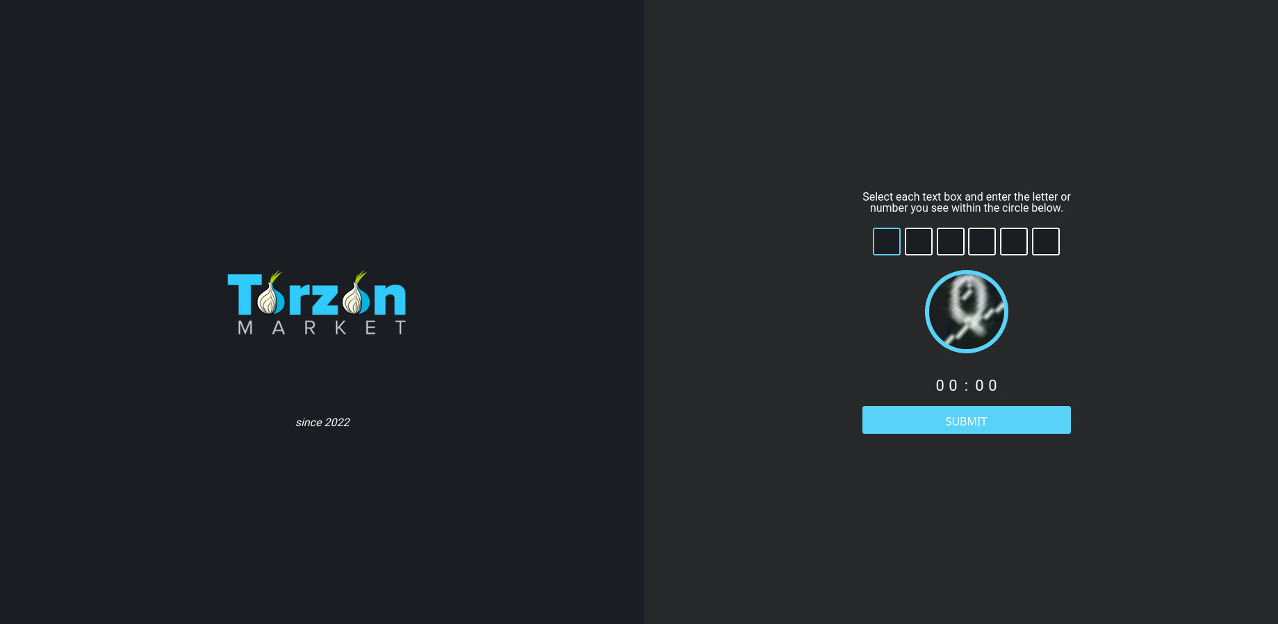 Torzon DDoS Protection Screen